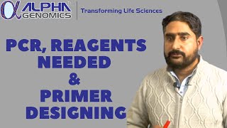 Polymerase Chain Reaction Reagents Needed Designing Primers for Polymerase Chain Reaction [upl. by Liw]