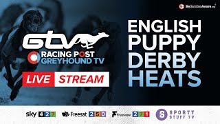 RPGTV English Puppy Derby Heats  Sunday 12 November  Live Greyhound Racing [upl. by Ameyn]