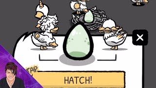 How to Breed Ducks  Clusterduck  Rosie Rayne [upl. by Seuguh]