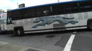 NJT MCI D4000 D4500 D4500CT 102DWA3 CNG Flxible NovaBus RTS06  40th Street 400th vid [upl. by Nylrats]