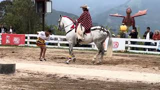 Zapateando JuyayayAnimal Park BañosEcuador [upl. by Neile]