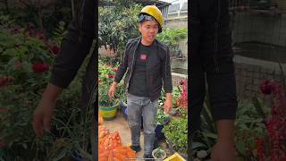 Jcb से बोरा लौड किया working art skill wood hand crafts  shorts [upl. by Ratna]