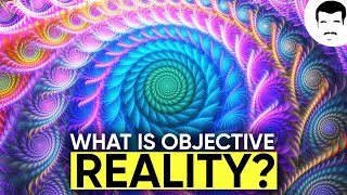 Do Psychedelics Unlock a Deeper Truth With Rick Doblin amp Neil deGrasse Tyson [upl. by Nivak750]