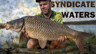 Monstercarp  Carp fishing  Carphaven Social [upl. by Ytsrik]