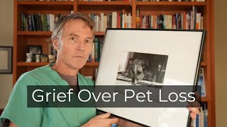 Grief over Pet Loss How to Cope and What Needs to Change [upl. by Kehoe85]