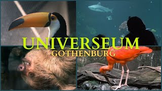 Universeum  Absolute MUST when visiting Gothenburg [upl. by Annonyw451]