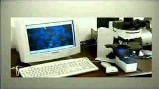 Introduction to Cytogenetics part1 [upl. by Anivid]