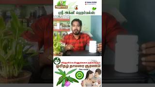 orithazh thamarai choornam  ஓரிதழ் தாமரை சூரணம் shorts trendingshorts siddhamedicine herbal [upl. by Akerue960]