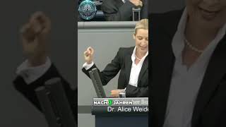 🚨 Alice Weidel Regierungskrise und Innenminister unter Beschuss 🔥 [upl. by Hollington199]