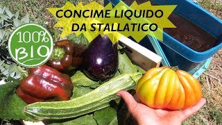 CONCIME LIQUIDO PER ORTO E PIANTE FAI DA TE DA STALLATICO [upl. by Anaerol]