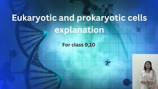 eukaryotic and prokaryotic cells explanation biology class 910 biology [upl. by Eeneg631]