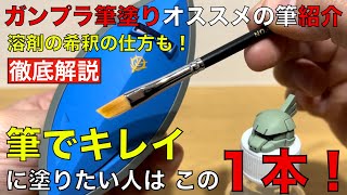 【ガンプラ筆塗りオススメの筆】動画内容は①筆塗りに必要な物と便利アイテム③実際に筆塗りリターダー希釈の仕方④平筆１本で細筆として使う⑤デカいパーツ塗る時の注意点⑥つや消しトップコート比較となっています [upl. by Nadab]