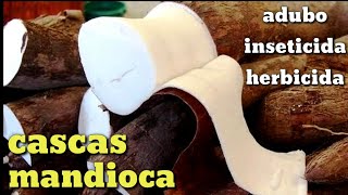 Como fazer adubo com a casca da mandioca [upl. by Finzer772]