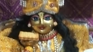 Madhav ji fir se live 🔴 a chuke hain 🙏 hamare Kishori Madhav 🙏🌼 [upl. by Nnylrebma]