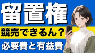 【民法】留置権の基礎が心底理解できる動画建物買取請求権 造作買取請求権 担保物権 優先弁済 競売の申立 費用償還請求 引換給付判決 敷金返還請求 [upl. by Okihcas]