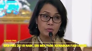 Gaji PNS 2019 Naik Sri Mulyani Berakibat Fatal Bila 2019 Gaji PNS Tidak Naik [upl. by Naveb654]