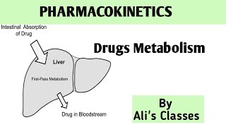 Drugs Metabolism  Pharmacokinetics metabolism pharmacokinetics alisclasses9000 [upl. by Notreb]