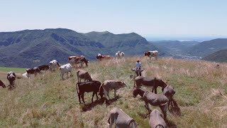 okgiorgio  a dj set for cows [upl. by Glanti]