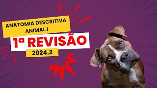 Live  1ª REVISÃO TEORICA 20242 [upl. by Dannie]