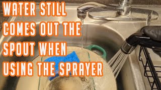 How To Replace A Delta Kitchen Faucet Diverter [upl. by Agnew]