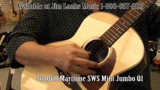 Seagull Maritime SWS Mini Jumbo QI Acoustic Guitar Demo [upl. by Cleodell]