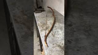 Osage Recurve Bow I Built 4 Years Ago [upl. by Barthel433]