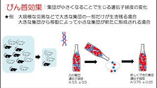 86高校生物「遺伝的浮動」2023 [upl. by Derfliw309]