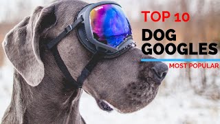 10 Best Dog Googles 2020  Dog Sunglasses amp Eye Gear Review [upl. by Evets]