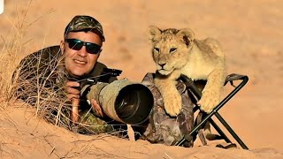 CUTEST MOST AMAZING WILDLIFE ENCOUNTERS Ever Caught On Camera You Wont Believe it [upl. by Rovelli]