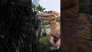 Dino Attack Beautiful Dinosaurus fyp viralvideo shorts dinosaur dino [upl. by Elatnahc722]