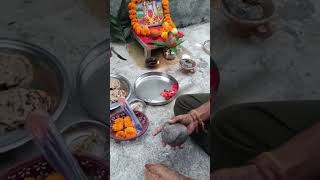 Daal baati 😋shortsfeed dalbaati deaidiet vlogger minivlogs [upl. by Gerome450]