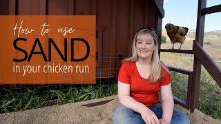 Using sand in your chicken run [upl. by Mallory]