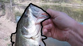 Arivaca Lake Spring Bass Fishing [upl. by Ahseal738]