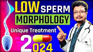 How To Treat Sperm Low Morphology  Low Morphology Sperm Treatment  Low Sperm Morphology Treatment [upl. by Ema283]