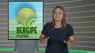 SERGIPE RURAL  PROGRAMA 484 [upl. by Llertnahs]