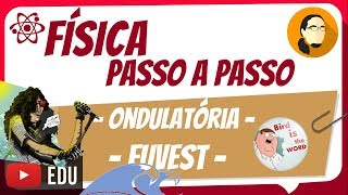 Ondulatória  FUVEST  Física Passo a Passo [upl. by Saberhagen]