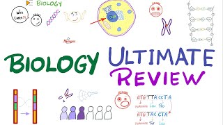 The Ultimate Biology Review  Last Night Review  Biology in 1 hour [upl. by Kerr495]