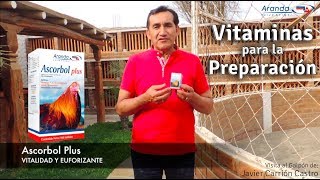 Ascorbol Vitaminas para la Preparación de Gallos de Pelea por Aranda [upl. by Jerrold]