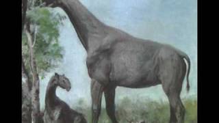 Tribute to Indricotherium aka Baluchitherium aka Paraceratherium [upl. by Nahgem]