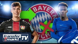 Bayern will Havertz spätestens 2020 – SommerWechsel von HudsonOdoi geplatzt  TRANSFERMARKT [upl. by Oinesra]