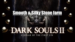 Dark Souls II SOTFS  Smooth amp Silky Stone farm [upl. by Ameerahs]