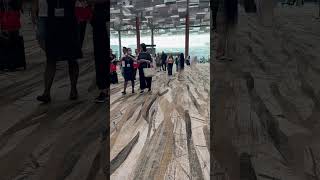 Terminal 3 of Singapore Changi Airport viralvideo [upl. by Ahsemac]