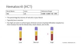 Understanding Your Lab Results [upl. by Tye]