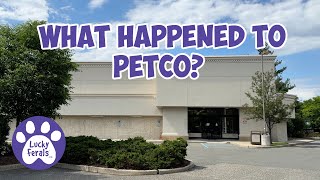 Petco Closed Paramus NJ  What Happened To Petco [upl. by Stanhope485]