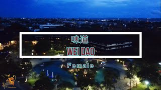 味道 Wei Dao Female Version  Karaoke mandarin with drone view [upl. by Hoffman]