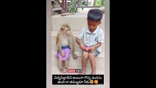 Chinnapillavadi ayena manchi manasu undhi ♥️👌🥰goodheartedman love like share subscribe [upl. by Alyssa]