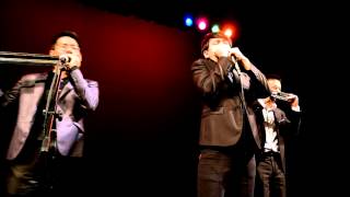 The Bird in the Dust  Judys Harmonica Ensemble 1080P [upl. by Dew]