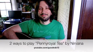 Pennyroyal Tea by Nirvana 2 ways to play  guitar lesson  How to play cool songs on guitar [upl. by Nuj259]