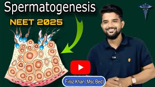 Spermatogenesis  NEET 2025  NEET CLASS 12TH By Firoz Khan  Firoz Sir Neet Biology [upl. by Ania]