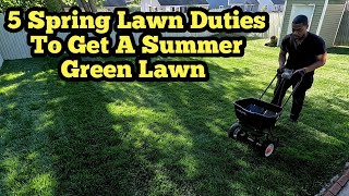 How To Achieve A Nice Green Summer Lawn Doing These 5 Simple Spring Lawn Care Duties [upl. by Girardi15]